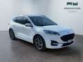 Ford Kuga III 2020 - Kuga 2.0 ecoblue mhev ST-Line 2wd 150cv Bianco - thumbnail 3