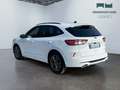 Ford Kuga III 2020 - Kuga 2.0 ecoblue mhev ST-Line 2wd 150cv Bianco - thumbnail 7