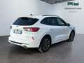 Ford Kuga III 2020 - Kuga 2.0 ecoblue mhev ST-Line 2wd 150cv Bianco - thumbnail 5