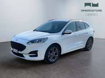 III 2020 - Kuga 2.0 ecoblue mhev ST-Line 2wd 150cv