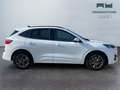 Ford Kuga III 2020 - Kuga 2.0 ecoblue mhev ST-Line 2wd 150cv Bianco - thumbnail 4
