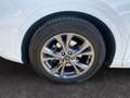 Ford Kuga III 2020 - Kuga 2.0 ecoblue mhev ST-Line 2wd 150cv Bianco - thumbnail 15