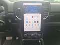Ford Ranger Wildtrak 3,0 Stdhz +50hoch JÄGERUMBAU WINDE 4,5t Gris - thumbnail 14