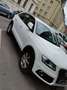 Audi Q5 Q5 2,0 TDI quattro Weiß - thumbnail 1