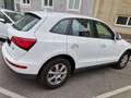 Audi Q5 Q5 2,0 TDI quattro Weiß - thumbnail 2