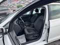 Volkswagen Golf GOLF 7 1.6 TDI 110CV DSG 5P HIGHLINE BMT Bianco - thumbnail 5