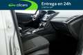 Ford Focus 1.6 TI-VCT Trend Powershift Gris - thumbnail 16