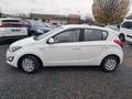 Hyundai i20 5 Star Edition Weiß - thumbnail 5