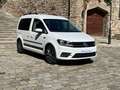 Volkswagen Caddy Maxi 2.0TDI Outdoor 110kW Blanc - thumbnail 4