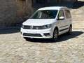 Volkswagen Caddy Maxi 2.0TDI Outdoor 110kW Bianco - thumbnail 2