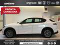 Alfa Romeo Stelvio Stelvio 2.2 Turbodiesel 210 CV AT8 Q4 Super MY23 Bianco - thumbnail 1