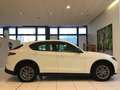 Alfa Romeo Stelvio Stelvio 2.2 Turbodiesel 210 CV AT8 Q4 Super MY23 Bianco - thumbnail 2