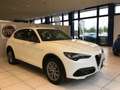 Alfa Romeo Stelvio Stelvio 2.2 Turbodiesel 210 CV AT8 Q4 Super MY23 Bianco - thumbnail 5
