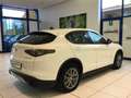 Alfa Romeo Stelvio Stelvio 2.2 Turbodiesel 210 CV AT8 Q4 Super MY23 Bianco - thumbnail 8