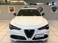 Alfa Romeo Stelvio Stelvio 2.2 Turbodiesel 210 CV AT8 Q4 Super MY23 Bianco - thumbnail 4