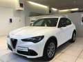 Alfa Romeo Stelvio Stelvio 2.2 Turbodiesel 210 CV AT8 Q4 Super MY23 Bianco - thumbnail 3