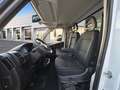 Fiat Ducato C.Cabina Maxi 35 L3H1 Multijet (118kW) - Blanco - thumbnail 10