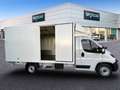 Fiat Ducato C.Cabina Maxi 35 L3H1 Multijet (118kW) - Blanco - thumbnail 31