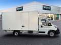 Fiat Ducato C.Cabina Maxi 35 L3H1 Multijet (118kW) - Blanco - thumbnail 5