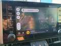 Toyota RAV 4 RAV 4 2.5 4x2 Hybrid Grau - thumbnail 13