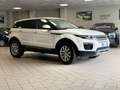 Land Rover Range Rover Evoque 5p 2.2 td4 Launch edition 150cv - thumbnail 2