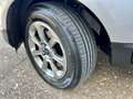 Ford EcoSport 1.5 ecoblue Titanium awd s&s 125cv my19 Argento - thumbnail 14