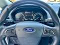 Ford EcoSport 1.5 ecoblue Titanium awd s&s 125cv my19 Argento - thumbnail 13