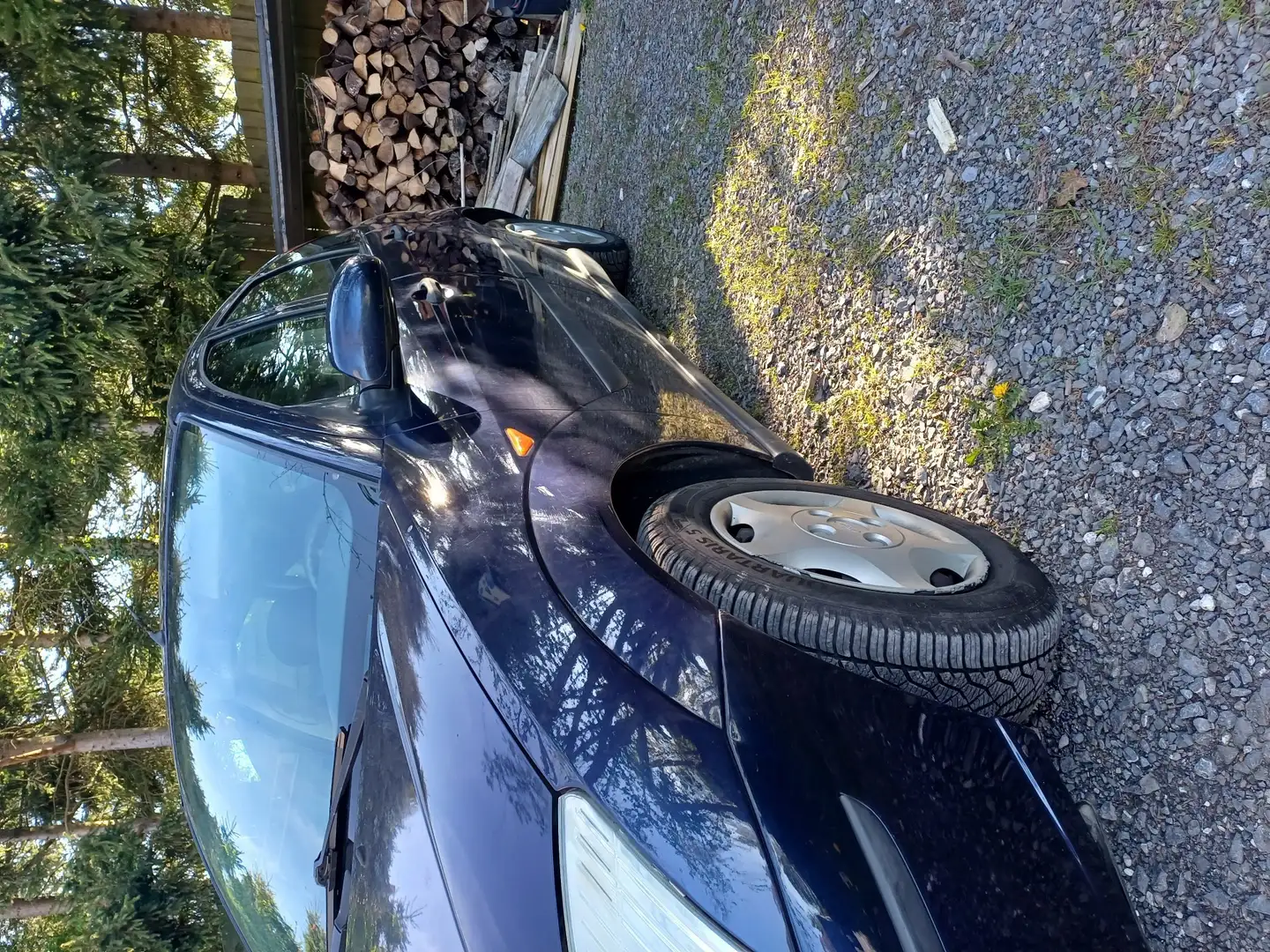 Ford Focus TDCI Bleu - 1