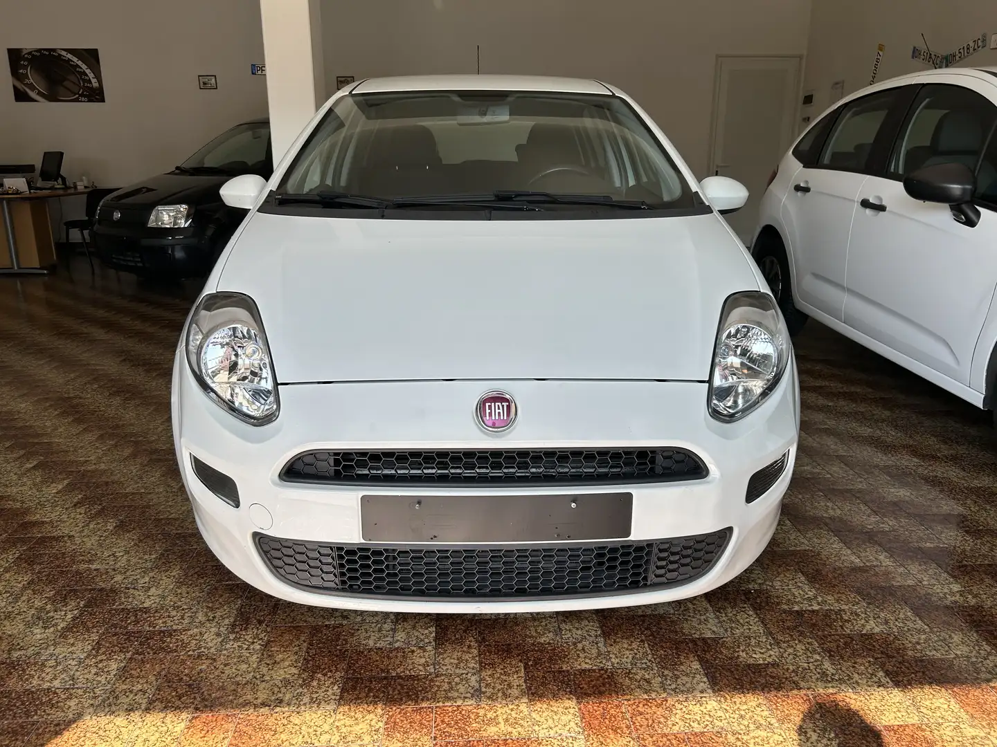 Fiat Punto 5p 1..3 multijet NEOPATENTATI!!! TOP!! Blanco - 1