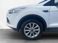 Ford Kuga Titanium TDCi 120 PS Wit - thumbnail 19