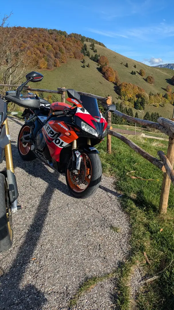Honda CBR 1000 fireblade Arancione - 2