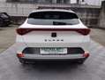 CUPRA Formentor 1.4 e-Hybrid DSG.PREZZO REALE Bianco - thumbnail 5