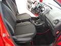 Toyota Aygo 1.0 VVT-i 69 CV 5 porte x-play Rouge - thumbnail 8