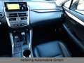 Lexus NX 300 h 4x4 Executive Line Leder Navi Grey - thumbnail 12