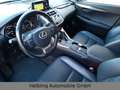 Lexus NX 300 h 4x4 Executive Line Leder Navi Grau - thumbnail 8