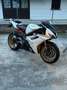 Triumph Daytona 675 Білий - thumbnail 3