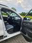 Dacia Spring Spring Comfort+ Wit - thumbnail 6