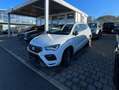 SEAT Ateca Ateca 1,5 FR ACT TSI FR Weiß - thumbnail 2