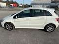 Mercedes-Benz B 180 Classe B - T245cdi Executive Bianco - thumbnail 3