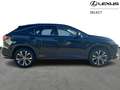 Lexus RX 450h Executive Line & Pano & Carpla Schwarz - thumbnail 14