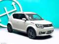 Suzuki Ignis 1.2 Hybrid 4WD All Grip Top *4X4* Bianco - thumbnail 40