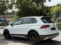 Volkswagen Tiguan OFFROAD 4Motion 2.0 TDI|AHK|Navi|SHZ|LED Blanc - thumbnail 6
