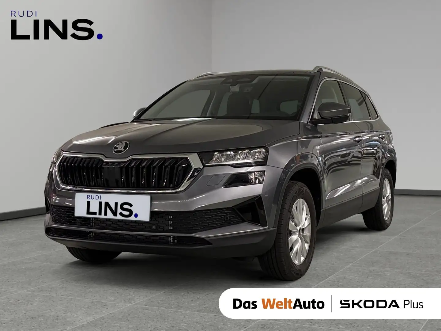 Skoda Karoq 4x4 Selection TDI DSG Grau - 1