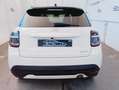 Fiat 600 Hybrid 110 CV DCT MHEV La Prima Bianco - thumbnail 6