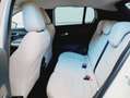 Fiat 600 Hybrid 110 CV DCT MHEV La Prima Bianco - thumbnail 11