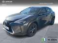 Lexus UX 250h Business City 2WD Gris - thumbnail 1