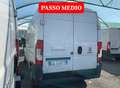 Fiat Ducato 2.2mjt 140cv L2H2 FURGONE Anno 2021 Bianco - thumbnail 7
