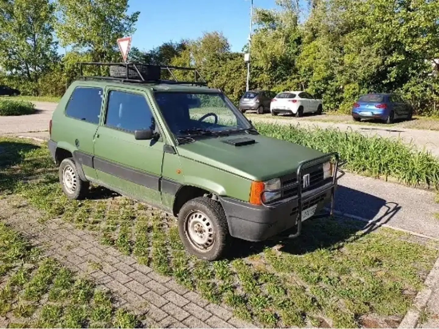 Fiat Panda 1.0 Trekking 4x4 cat. Verde - 1