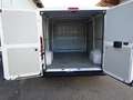 Fiat Ducato 115 Kasten L1H1 TÜV+Service+Reifen+Bremsen NEU Weiß - thumbnail 12