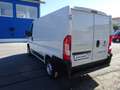 Fiat Ducato 115 Kasten L1H1 TÜV+Service+Reifen+Bremsen NEU Weiß - thumbnail 3